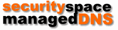 Security Space Managed DNS
