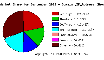 October 1st 2002 CA Market Share Pie Chart