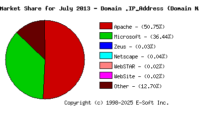August 1st, 2013 Market Share Pie Chart