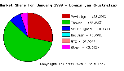 February 1st 1999 CA Market Share Pie Chart