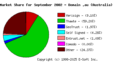 October 1st 2002 CA Market Share Pie Chart