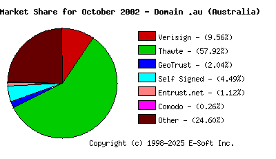 November 1st 2002 CA Market Share Pie Chart