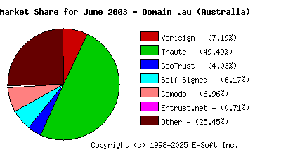July 1st 2003 CA Market Share Pie Chart