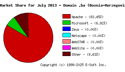 August 1st, 2013 Market Share Pie Chart