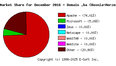 January 1st, 2017 Market Share Pie Chart