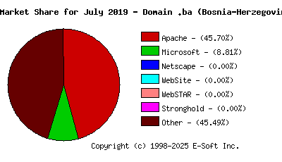 August 1st, 2019 Market Share Pie Chart