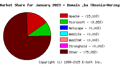 February 1st, 2023 Market Share Pie Chart