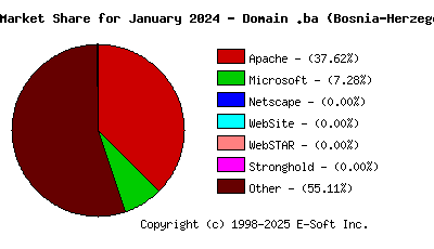 February 1st, 2024 Market Share Pie Chart