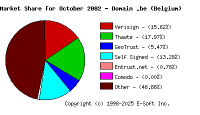 November 1st 2002 CA Market Share Pie Chart