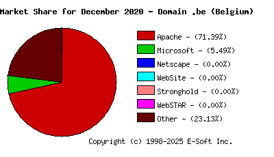 January 1st, 2021 Market Share Pie Chart
