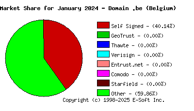 February 1st 2024 CA Market Share Pie Chart