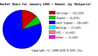February 1st 1999 CA Market Share Pie Chart