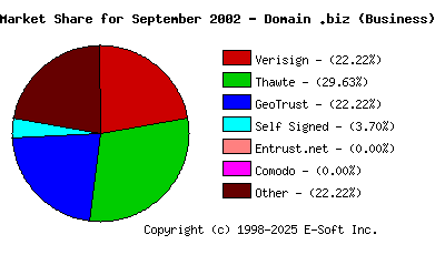 October 1st 2002 CA Market Share Pie Chart