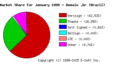 February 1st 1999 CA Market Share Pie Chart