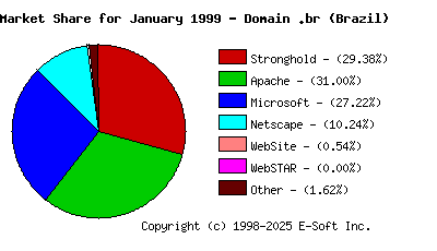 February 1st, 1999 Market Share Pie Chart