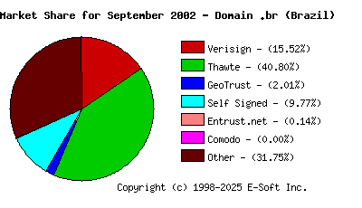 October 1st 2002 CA Market Share Pie Chart