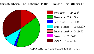 November 1st 2002 CA Market Share Pie Chart
