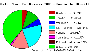 January 1st 2007 CA Market Share Pie Chart