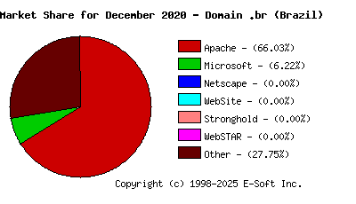 January 1st, 2021 Market Share Pie Chart
