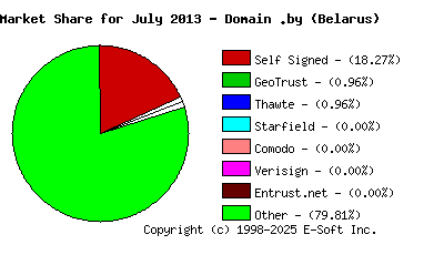 August 1st 2013 CA Market Share Pie Chart
