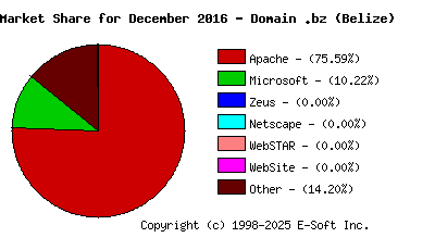 January 1st, 2017 Market Share Pie Chart