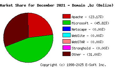 January 1st, 2022 Market Share Pie Chart