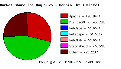 June 1st, 2025 Market Share Pie Chart