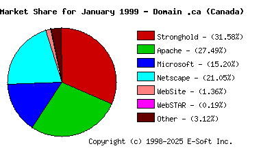 February 1st, 1999 Market Share Pie Chart