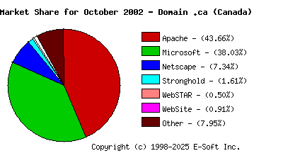 November 1st, 2002 Market Share Pie Chart