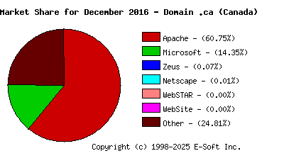 January 1st, 2017 Market Share Pie Chart