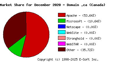 January 1st, 2021 Market Share Pie Chart