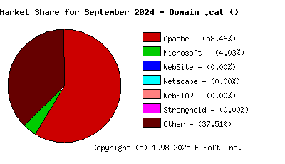 October 1st, 2024 Market Share Pie Chart
