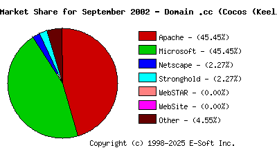 October 1st, 2002 Market Share Pie Chart
