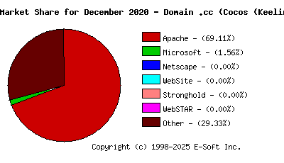 January 1st, 2021 Market Share Pie Chart