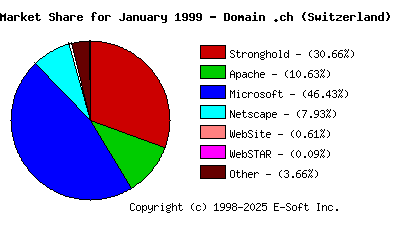 February 1st, 1999 Market Share Pie Chart