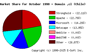November 1st, 1998 Market Share Pie Chart