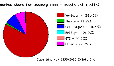 February 1st 1999 CA Market Share Pie Chart