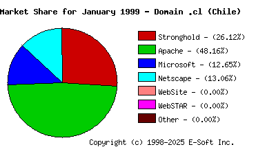 February 1st, 1999 Market Share Pie Chart