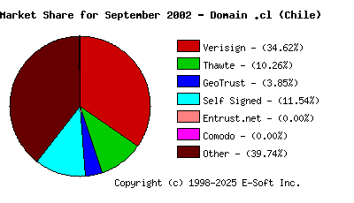 October 1st 2002 CA Market Share Pie Chart