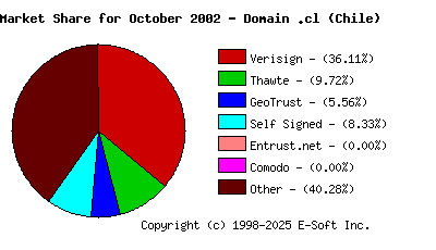 November 1st 2002 CA Market Share Pie Chart