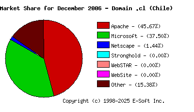 January 1st, 2007 Market Share Pie Chart