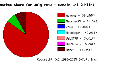 August 1st, 2013 Market Share Pie Chart
