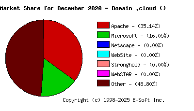 January 1st, 2021 Market Share Pie Chart