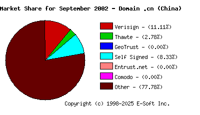 October 1st 2002 CA Market Share Pie Chart