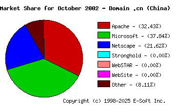 November 1st, 2002 Market Share Pie Chart