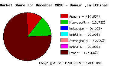 January 1st, 2021 Market Share Pie Chart