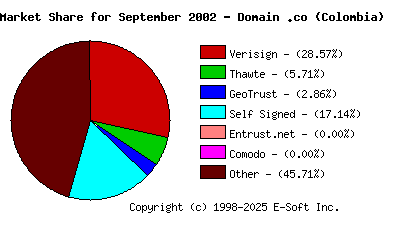 October 1st 2002 CA Market Share Pie Chart