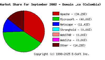 October 1st, 2002 Market Share Pie Chart