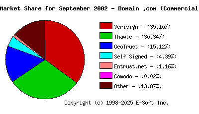 October 1st 2002 CA Market Share Pie Chart