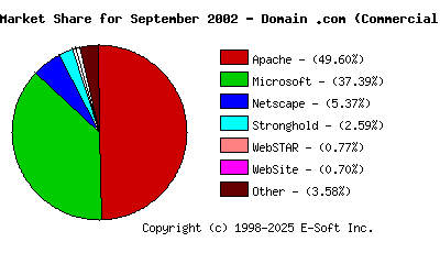 October 1st, 2002 Market Share Pie Chart